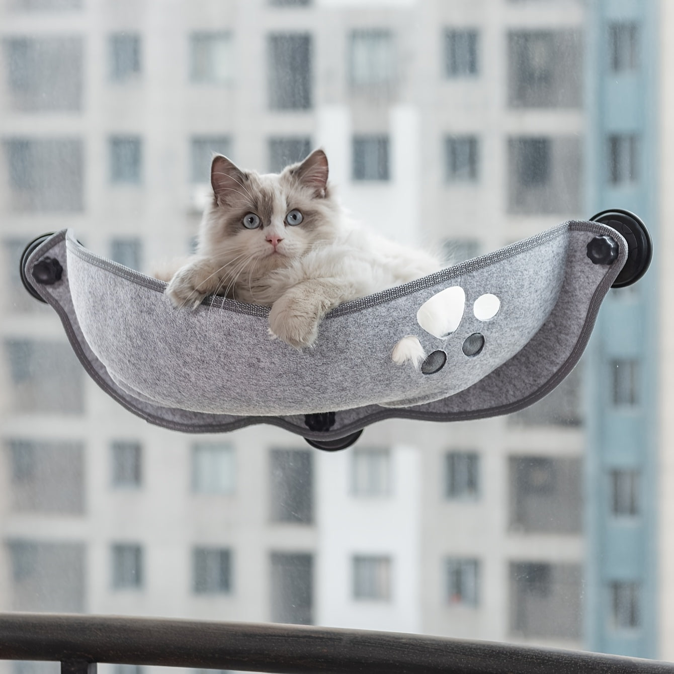 Hamaca para gatos en forma de media luna con ventosa para gatos pequeños y medianos Sunlight Lounge