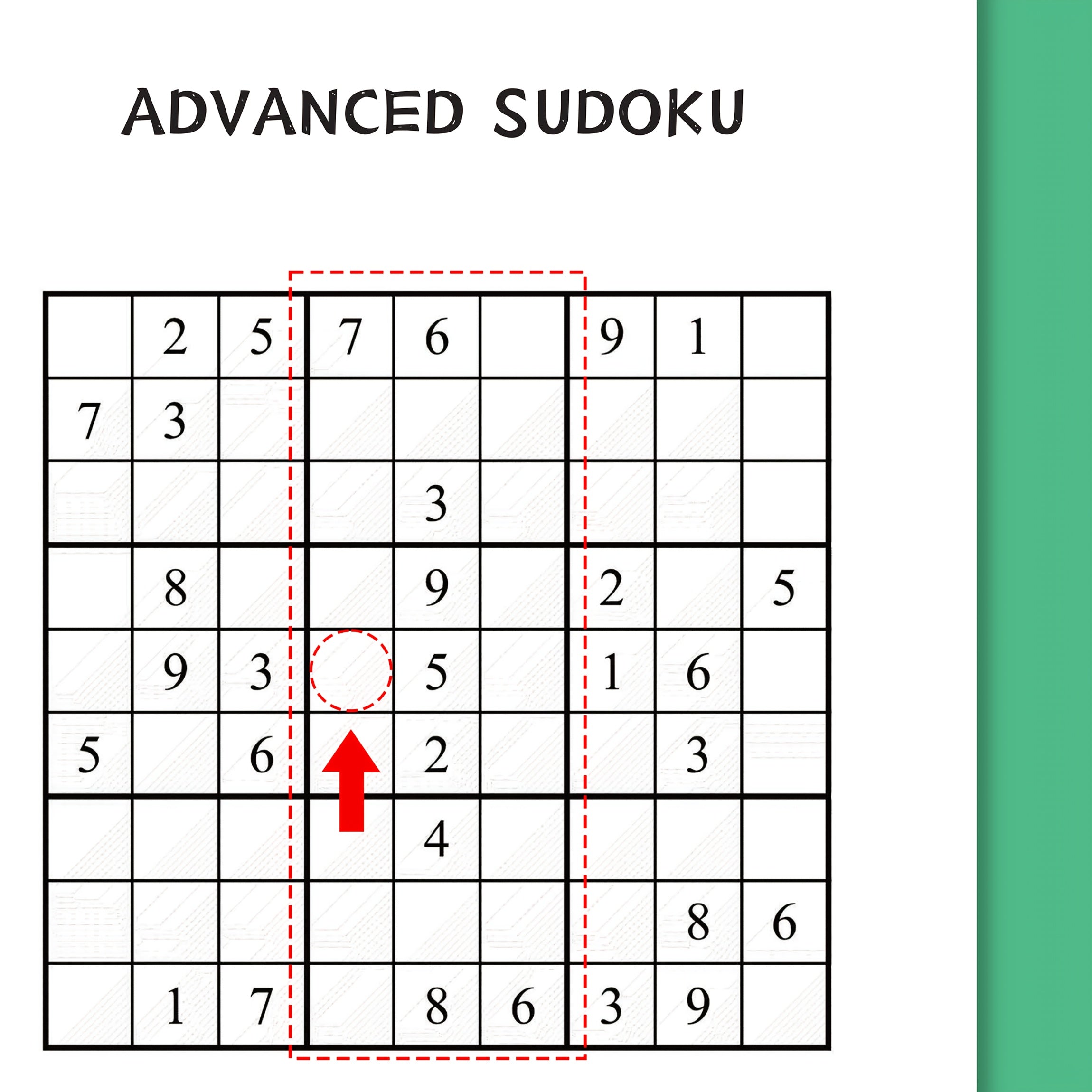 2024 Advanced Sudoku Puzzle Book for Beginners English Language Focus Problem-Solving Skills