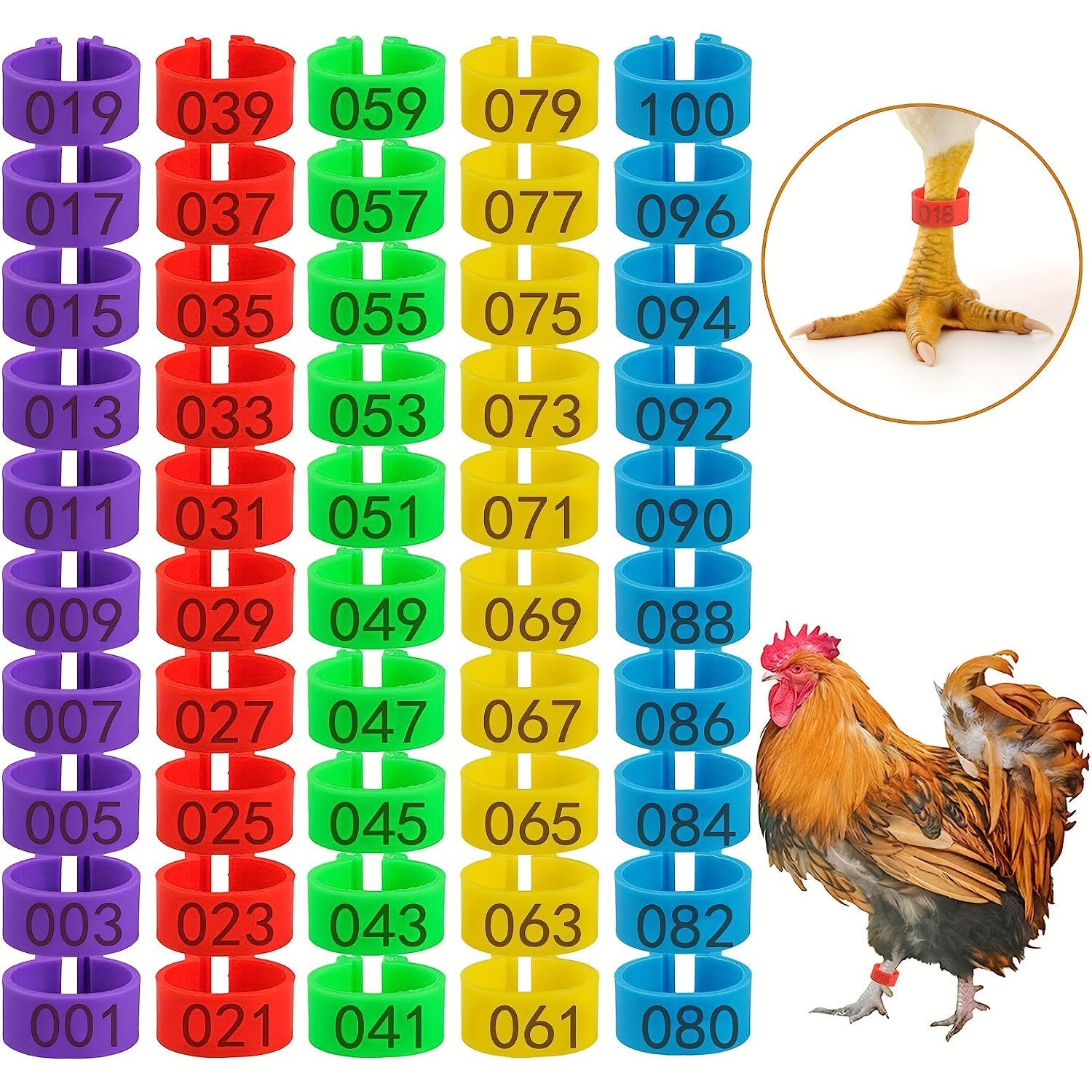 Pack of 100 Colorful Numbered Plastic Poultry Leg Bands for Identification 16mm