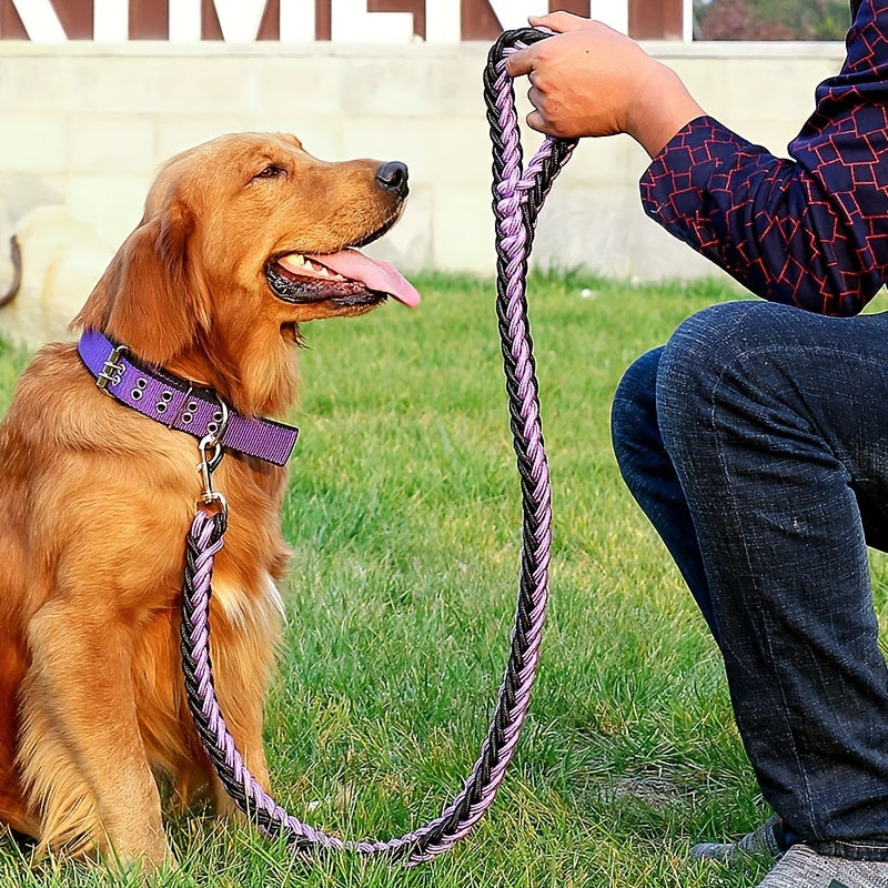 Heavy Duty Dog Collar and Leash Set with Braided Training Rope for Large Dogs