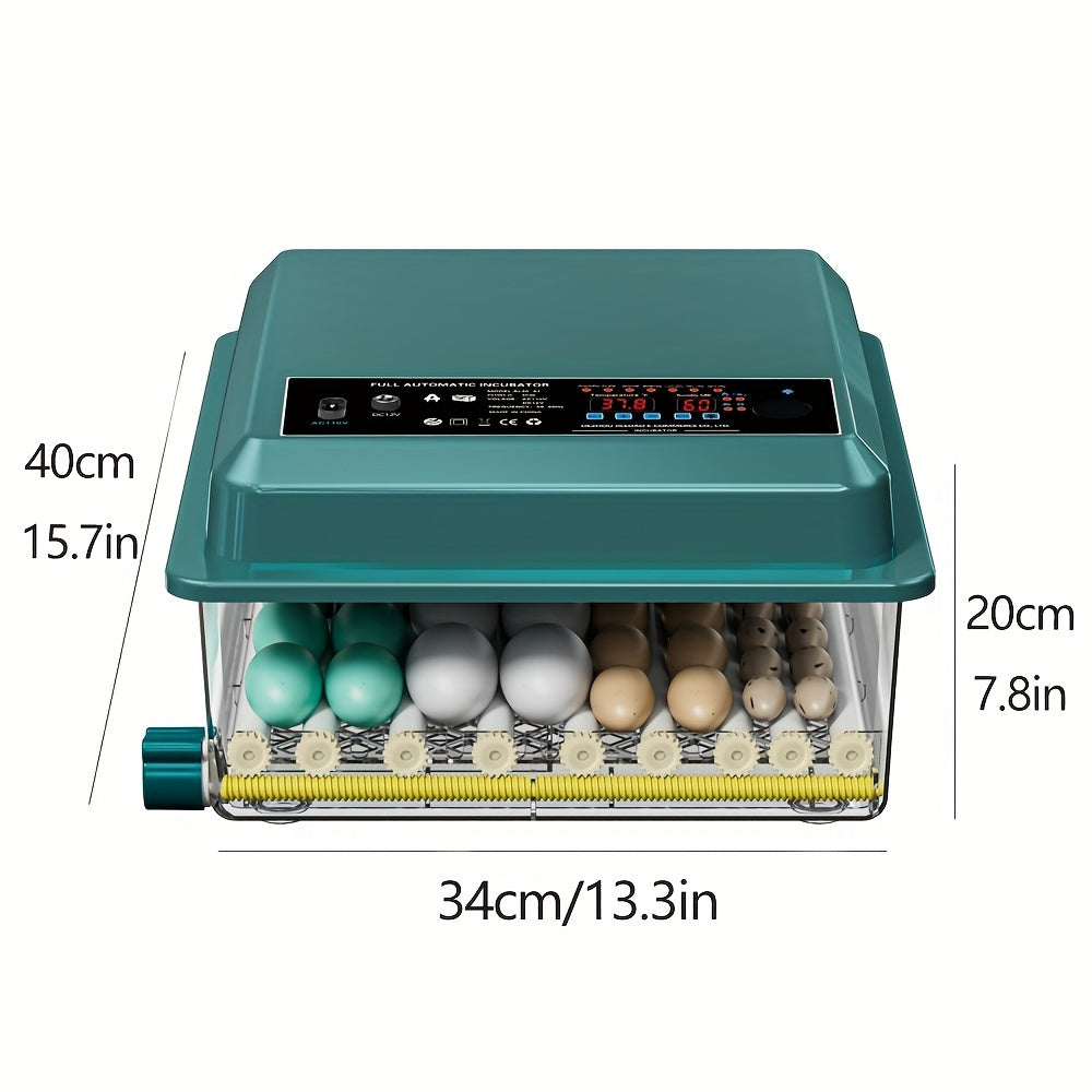 36-Egg Teal Digital Inkubator bilan sozlanadigan harorat, impulsli isitish, sovuq nurni chiqish