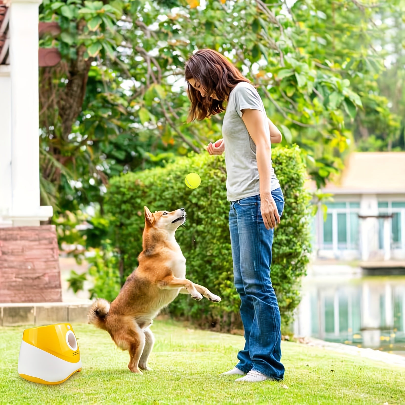 Ko‘k va oq avtomatik it o‘yinchoq uchirgichi, USB orqali qayta zaryadlanadigan tennis to‘pi uloqtiruvchi