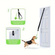 Dog Toy and Potty for Indoor Outdoor Use Fabric All Breed Sizes