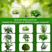 Indoor Plant Grow Light Strip with 80 LEDs, Adjustable Tripod, Dimmable, Timer, USB Powered