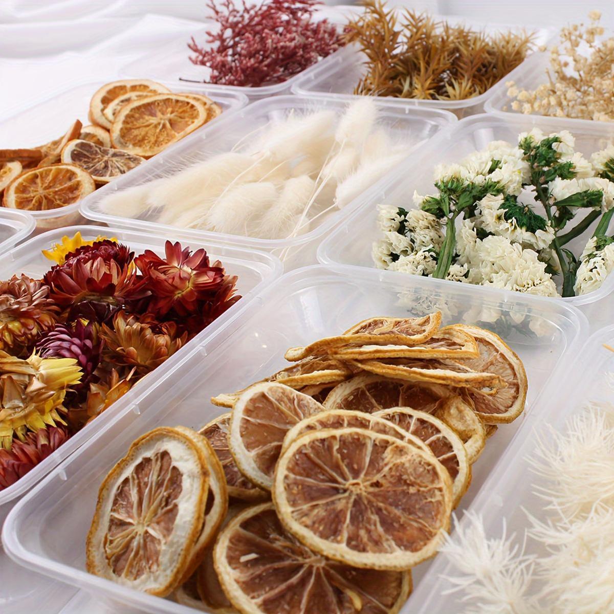 Бохо-Шик Рождественский Набор для Ремесел: Натуральный Растительный Декор для DIY Проектов, Венков и Подарков