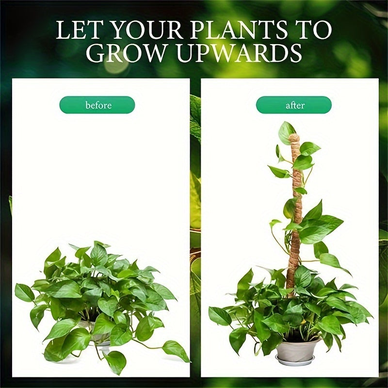Set of Two Flexible Indoor Plant Support Poles for Climbing Plants