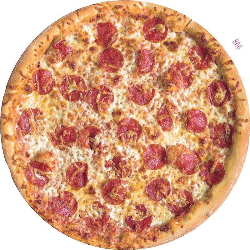 Manta de franela con patrón de pizza para sofá y cama, cálida y acogedora