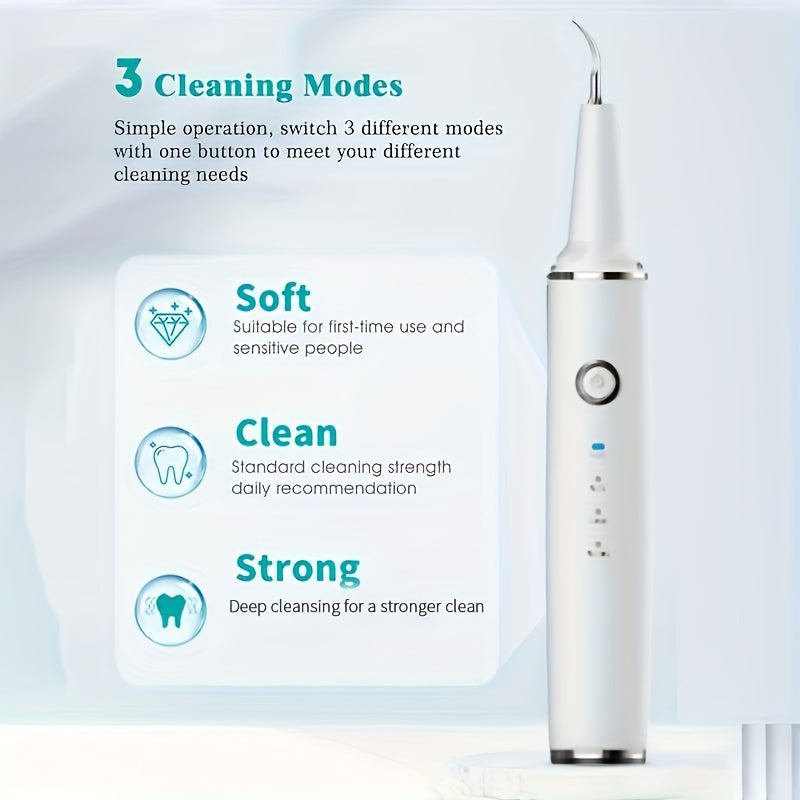 USB Rechargeable Electric Tooth Cleaner with LED Light and Interchangeable Brush Heads