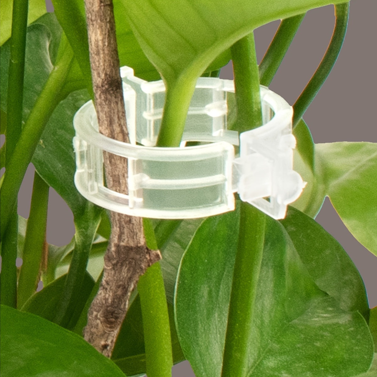 300-Pack White Plastic Garden Trellis Clips for Climbing Vegetables and Flowers