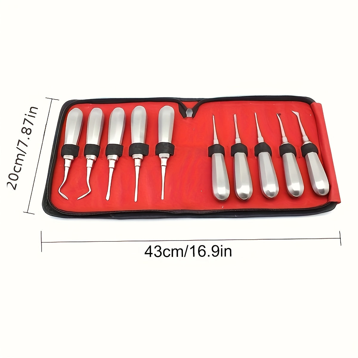 Dental Extraction Tools Set of 10 Stainless Steel Root Tip and Nail Stabilizer Instruments
