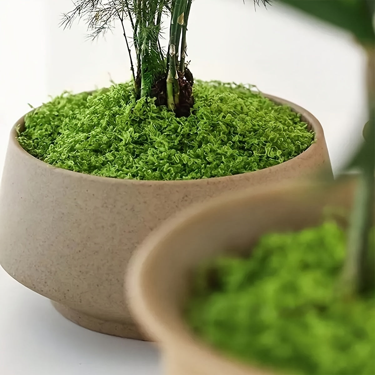 Artificial Green Moss for Home Decor Indoor Miniature Landscapes Potted Plants Terrariums