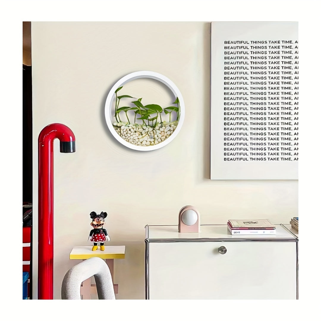 Modern Round Glass Wall Planters for Herbs Succulents and Cacti 1 or 2 Pack Indoor Balcony Patio Decor