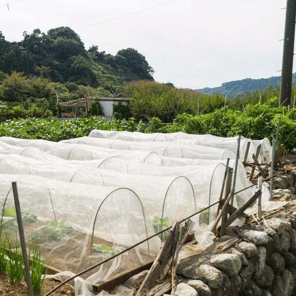 Fiberglass Greenhouse Support Hoops for DIY Plant Tunnels Garden Fabric Stakes Rust-Resistant