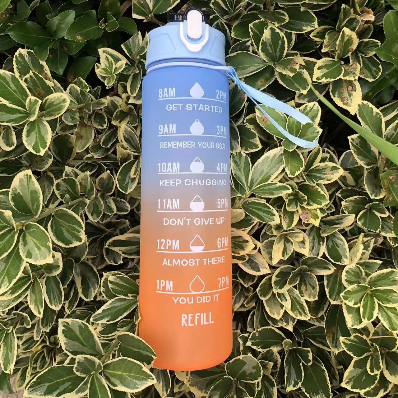 Leakproof BPA-Free Water Bottle for Camping Hiking Fitness and Home Use