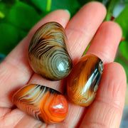 5-Piece Natural Agate Stone Set for Flower Pots Aquariums and Decorations