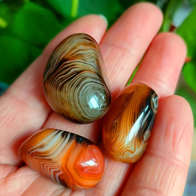 5-Piece Natural Agate Stone Set for Flower Pots Aquariums and Decorations