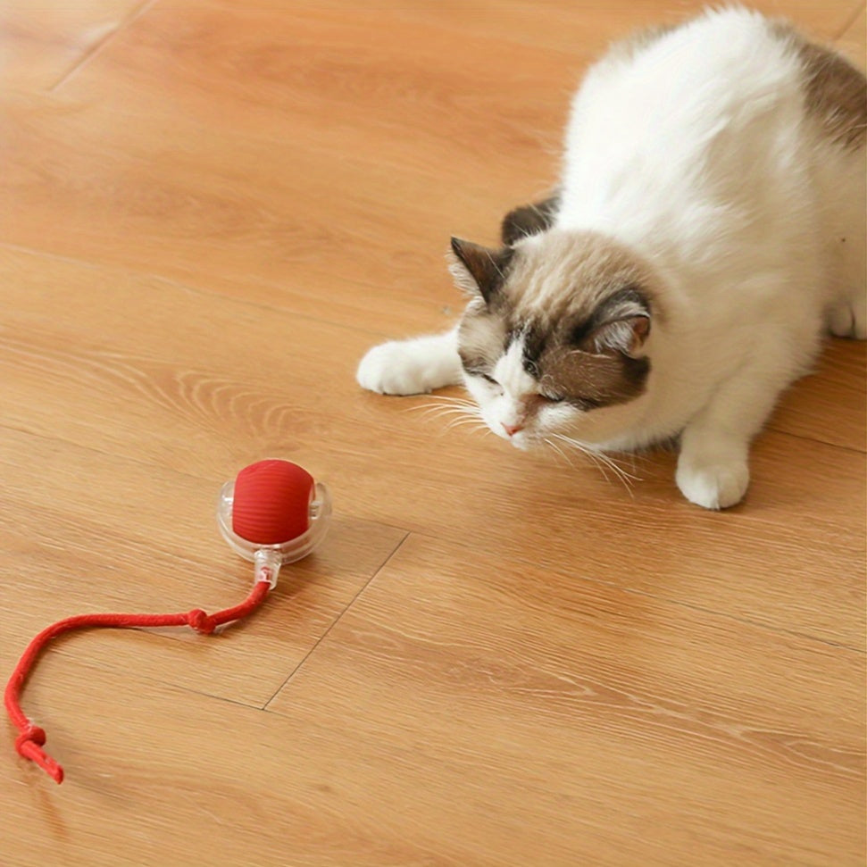 Interactive Cat Toy with Silicone Ball and USB Rechargeable Battery for Small Indoor Cats