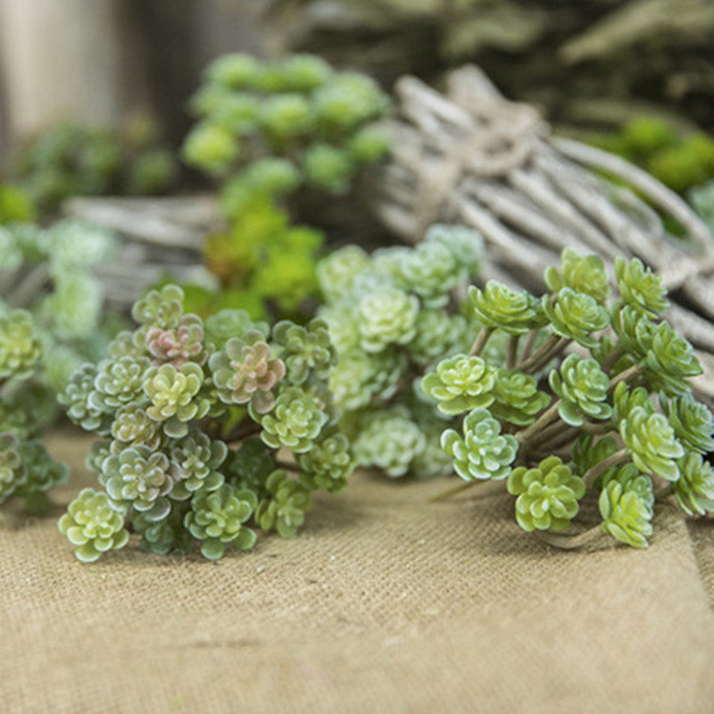1 штука искусственного суккулента на 24 головы, идеального для создания цветочных композиций и домашнего декора. Отлично подходит для добавления реалистичной зелени на свадьбы и помолвки.