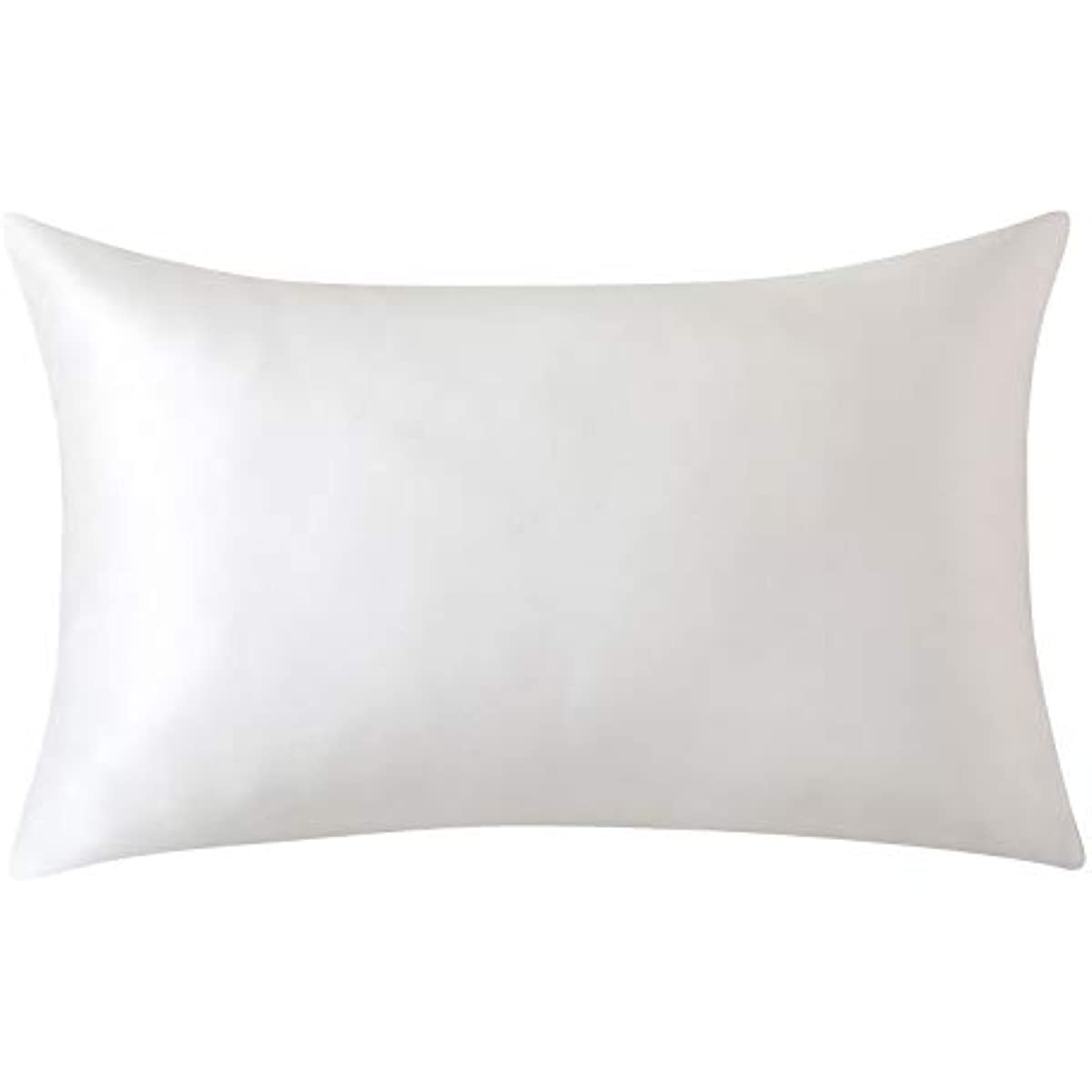 Satin Pillowcase with Concealed Zipper for Hair and Skin Care, Bed or Sofa Decor