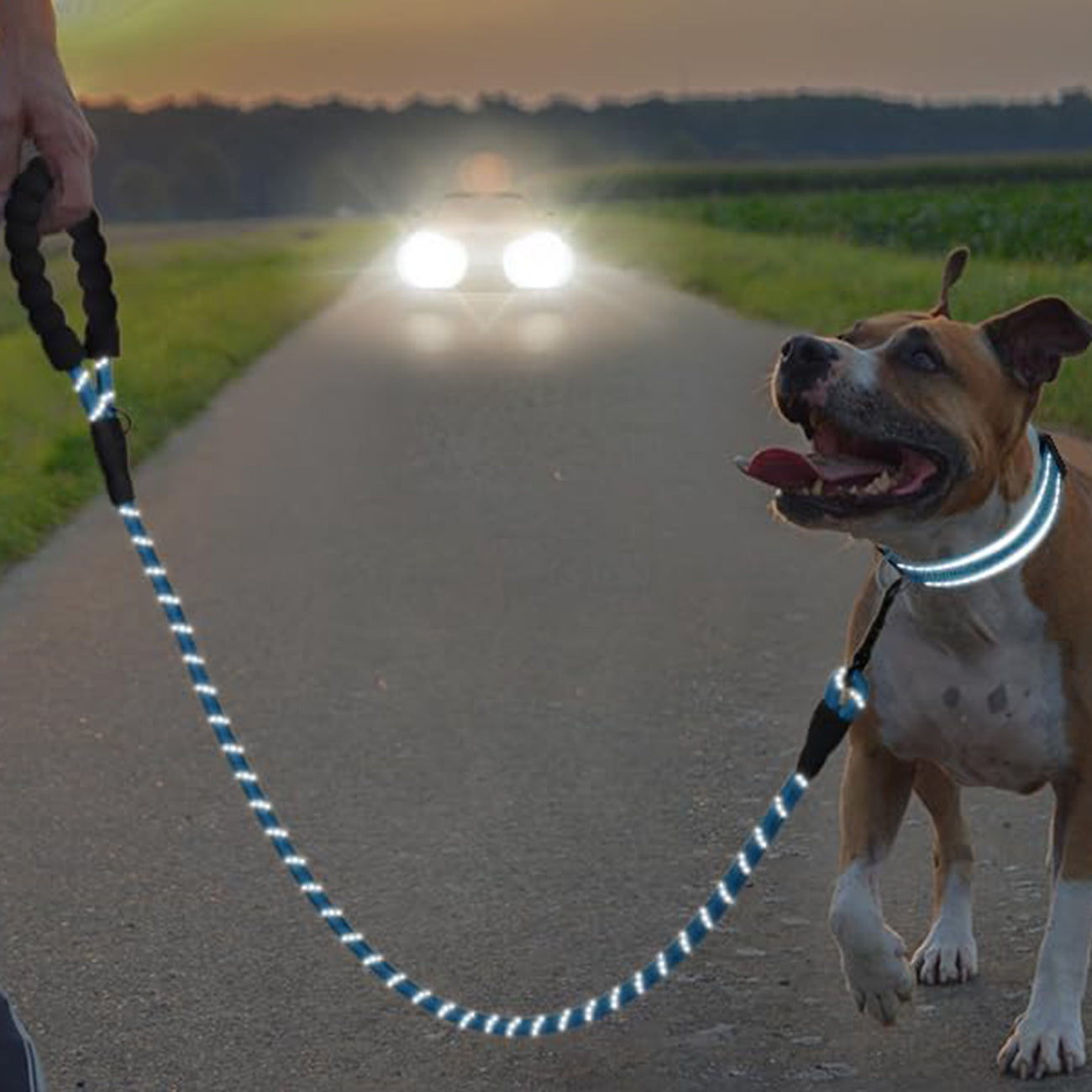 Reflective Dog Leash and Adjustable Nylon Collar Set for All Sizes