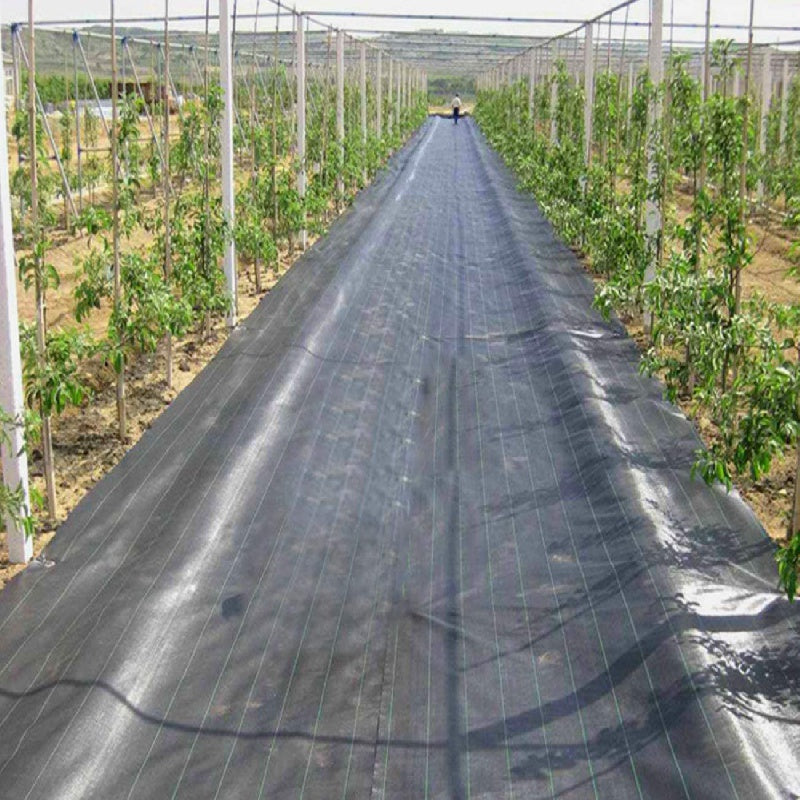Black PP Weed Barrier Fabric 2m Wide Garden Lawn Landscape Material
