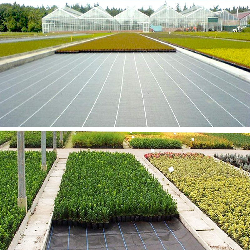 Black PP Weed Barrier Fabric 2m Wide Garden Lawn Landscape Material