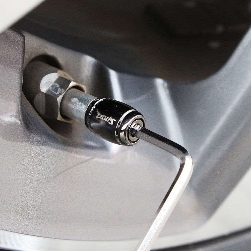 Universal Zinc Alloy Anti-Theft Tire Valve Stem Caps for Car Wheels