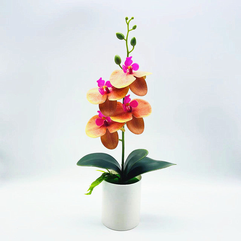 Artificial Flowers Real Touch Phalaenopsis Orchids in Vase for Home Office Decor
