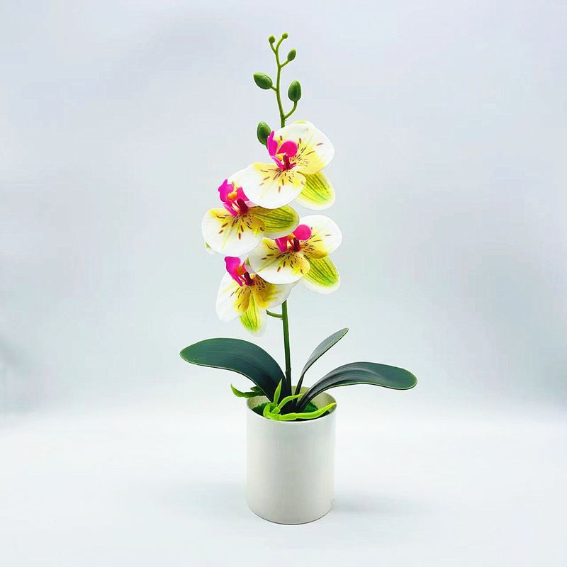 Artificial Flowers Real Touch Phalaenopsis Orchids in Vase for Home Office Decor