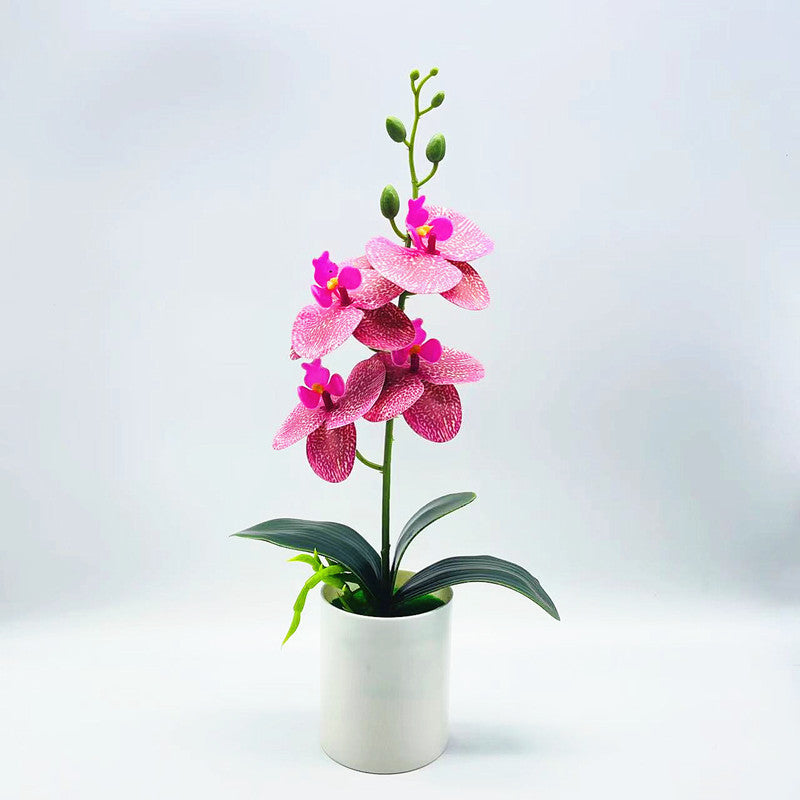 Artificial Flowers Real Touch Phalaenopsis Orchids in Vase for Home Office Decor