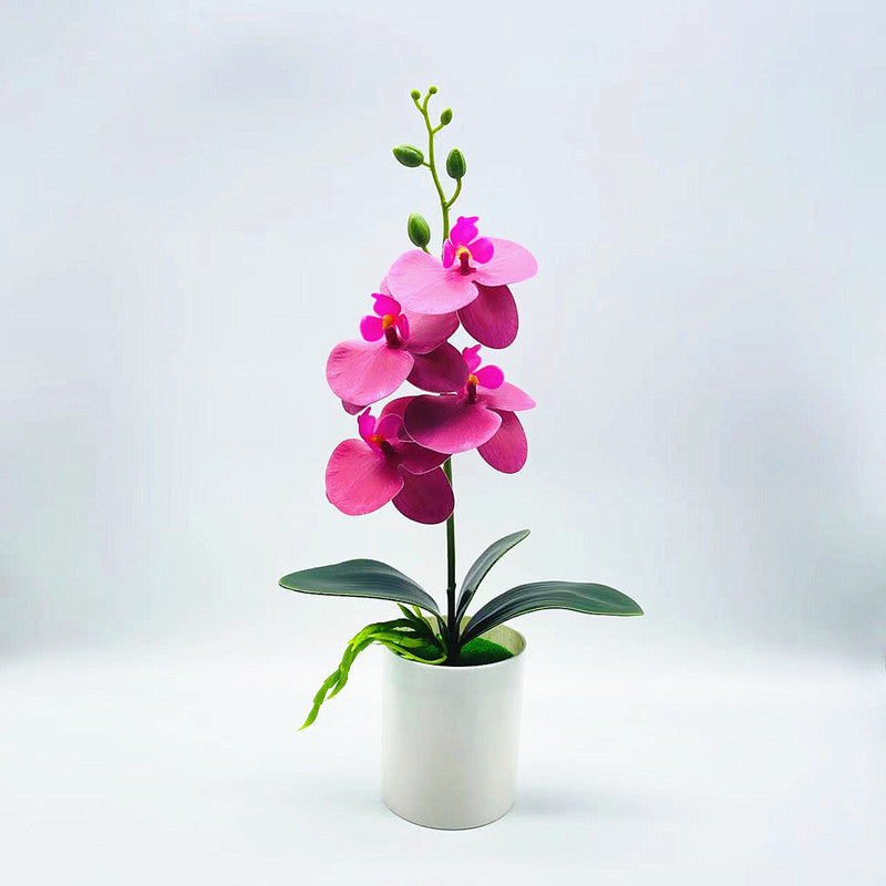 Artificial Flowers Real Touch Phalaenopsis Orchids in Vase for Home Office Decor