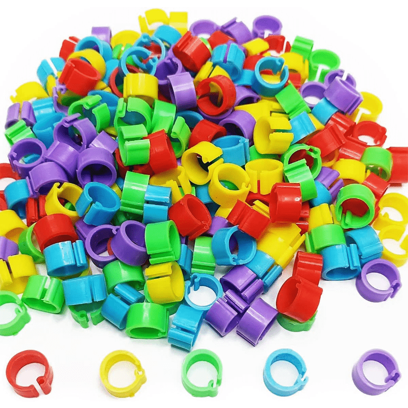 Colorful Plastic Bird Leg Bands Set of 100 for Pigeons Parrots Finches Canaries