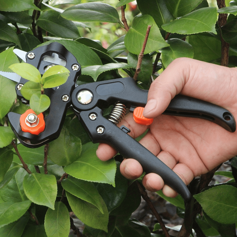 Ergonomic Garden Grafting and Pruning Tool Kit for Fruit Trees Stainless Steel Blade Saw Scissors Cutting Board