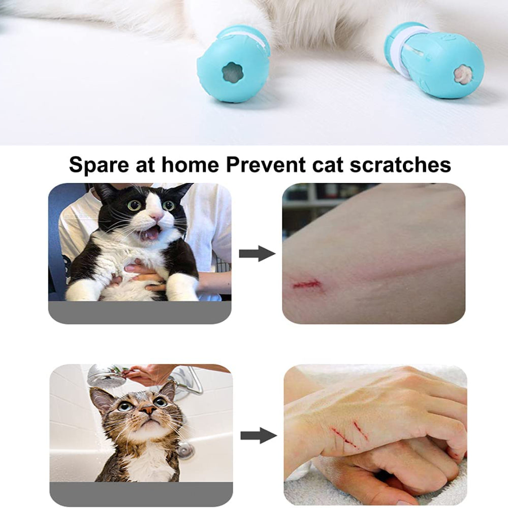 Set of 4 Silicone Cat Paw Protectors for Grooming and Bathing