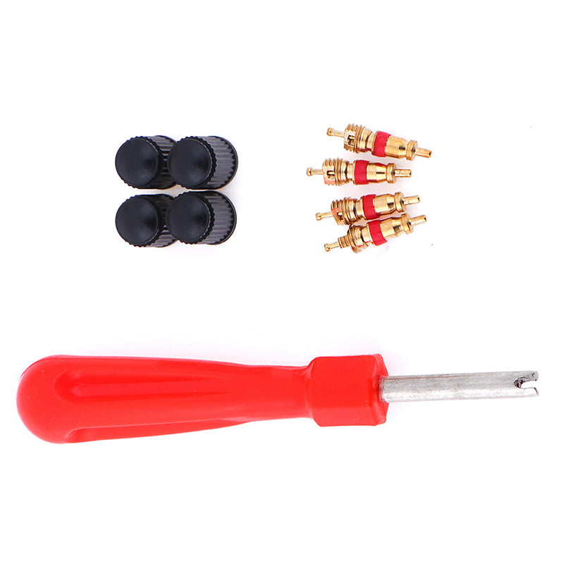 Set Tire Valve Service Kit with 4 Valve Cores and Caps for Car Motorcycle Truck