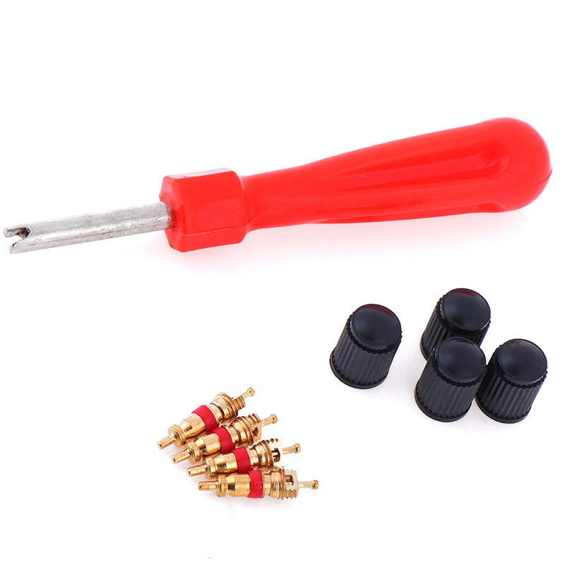 Set Tire Valve Service Kit with 4 Valve Cores and Caps for Car Motorcycle Truck