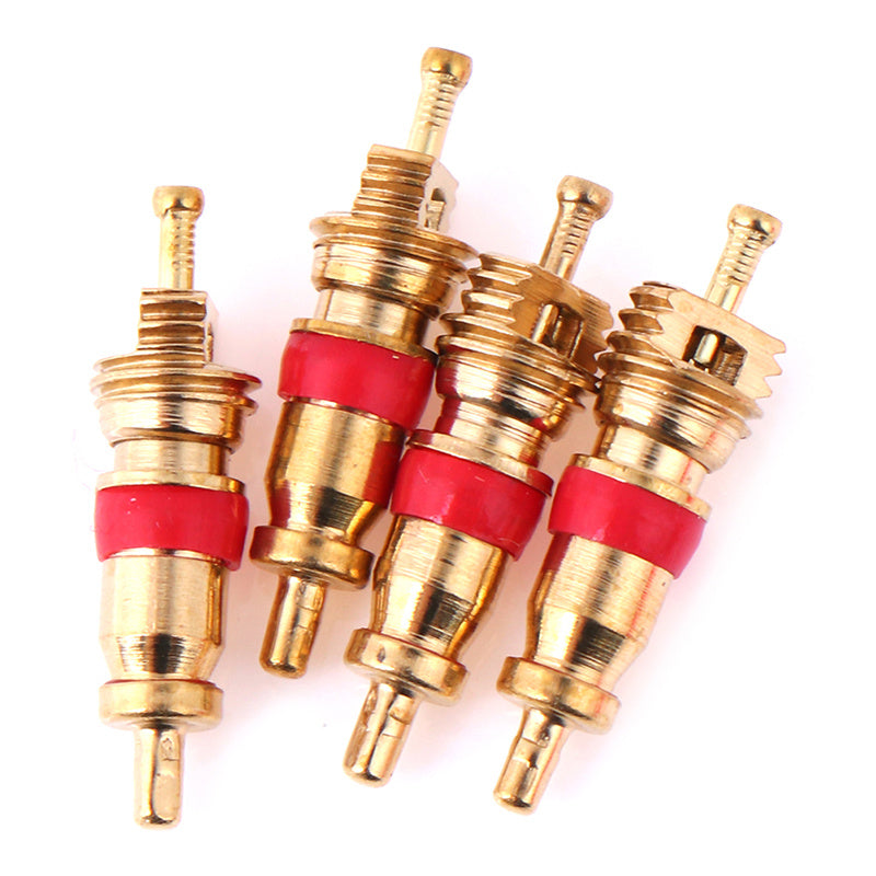 Tire Valve Stem Repair Kit with Dual Head Valve Core Remover and Zinc Alloy Valves