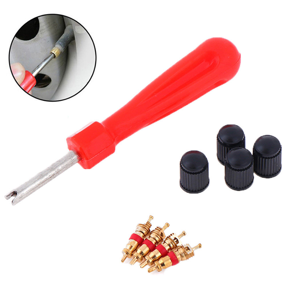 Tire Valve Stem Repair Kit with Dual Head Valve Core Remover and Zinc Alloy Valves