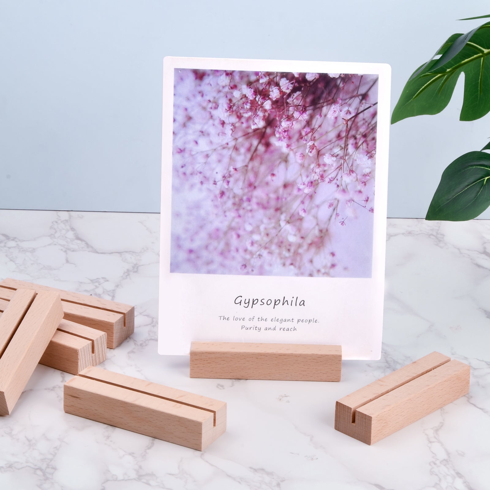 Set of 20 Handmade Beech Wood Wedding Place Cards and Holders for Table Decor