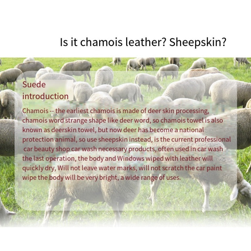 Genuine Deerskin Car Towel Absorbent Leather Cleaning Cloth Quick Dry