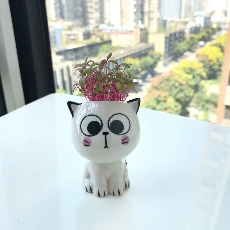 Mini Ceramic Cat-Shaped Flowerpot for Desk Decoration and Science Education Gift