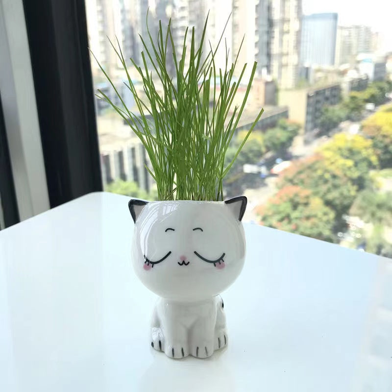 Mini Ceramic Cat-Shaped Flowerpot for Desk Decoration and Science Education Gift