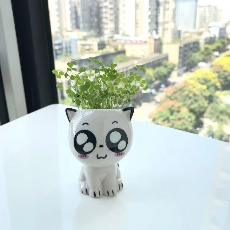 Mini Ceramic Cat-Shaped Flowerpot for Desk Decoration and Science Education Gift