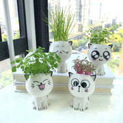 Mini Ceramic Cat-Shaped Flowerpot for Desk Decoration and Science Education Gift