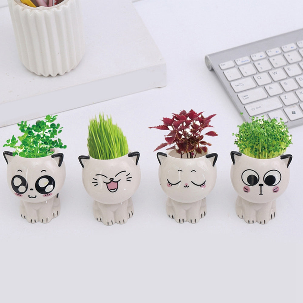 Mini Ceramic Cat-Shaped Flowerpot for Desk Decoration and Science Education Gift