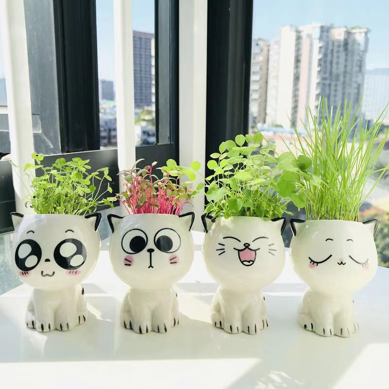 Mini Ceramic Cat-Shaped Flowerpot for Desk Decoration and Science Education Gift