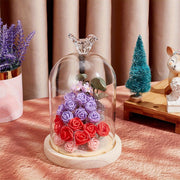 Yog'och asosli shisha dome ko'rgazma shkafi, saqlangan gullar, zargarlik buyumlari, soatlar uchun, 12.24cm x 19cm