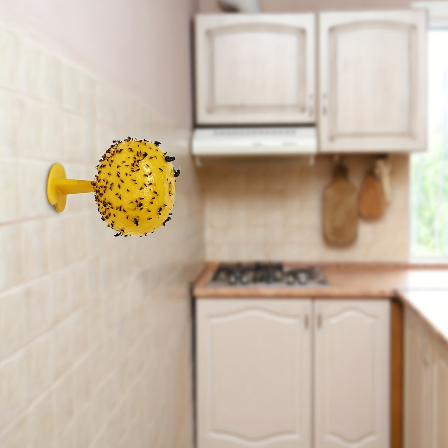 Fly Trap Sticky Balls for Home and Kitchen, Fruit Fly Pest Control
