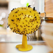 Fly Trap Sticky Balls for Home and Kitchen, Fruit Fly Pest Control