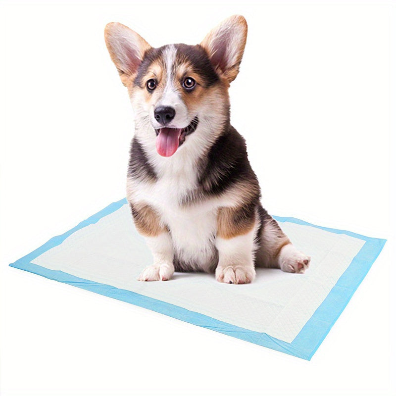 Dog Diaper Pads Disposable Absorbent Urine Mats for Potty Training Pack of 20 40 50 100